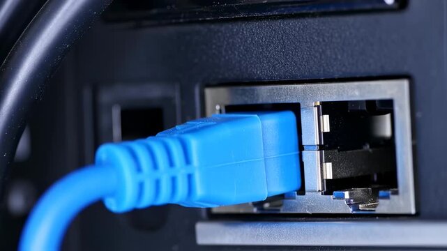 Close-up of a blue Ethernet cable plugged into a network device