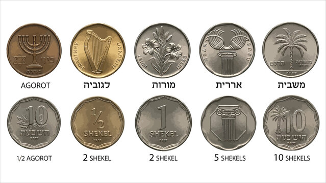 Israeli Coins Set. New Shekel and Agorot Currency with National Symbols.
