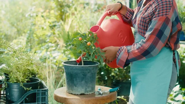 Woman Watering Plants in Greenhouse