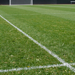 Obraz premium Manicured lawn with white sideline markers for a competitive sports stadium