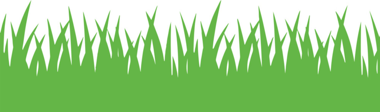 Green Grass Border Seamless Flat Vector Design.