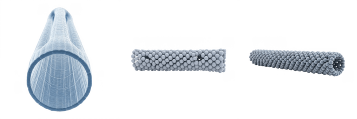 Cell Basal Body (Kinetosome) Microtubule-Based Organelle Anchoring Cilia and Flagella, Initiating Axoneme Formation and Coordinating Cell Motility in Eukaryotic Cells Isolated on White Background
