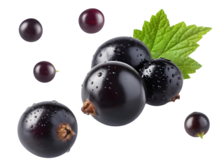 Fresh blackberries cluster isolated on transparent background