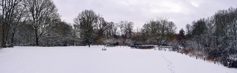 Serene Winter Landscape With Fresh Snow Covering a Peaceful Park, Lush Trees Surrounding a Tranquil Scene