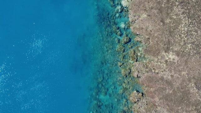 Tropical Coral Reef and Beautiful Ocean Fly Over Aerial Drone Footage