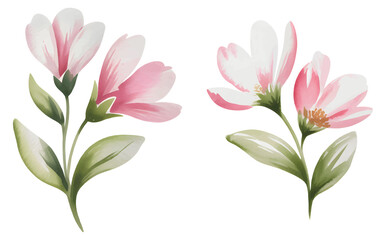 Obraz premium Pink watercolor flowers with green leaves isolated on white background. 