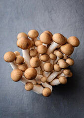 Obraz premium fresh mushrooms on a white background.