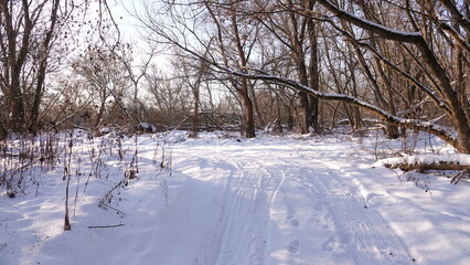 Śnieg i zaspy w lesie i nad rzeką. Piękny zimowy krajobraz. Ziemia pokryta grubą warstwą śniegu. © tomo81