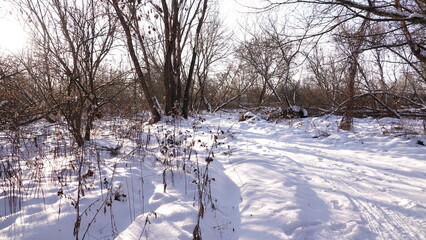 Śnieg i zaspy w lesie i nad rzeką. Piękny zimowy krajobraz. Ziemia pokryta grubą warstwą śniegu. © tomo81