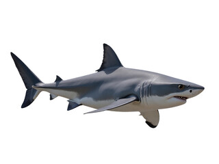 Fototapeta premium A large white shark soaring through the sky