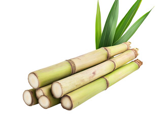 Fototapeta premium Fresh organic sugarcane stalks and green leaves, isolated on white, png