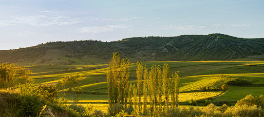Wide green valley landscape with rolling hills, fields and tall trees illuminated by warm sunset light. Showcasing peaceful countryside scenery, natural environment and rural landscape background.