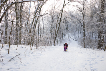 Little girl having fun while sledding down the hill in sunny winter forest park