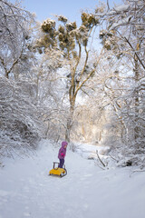 Little girl in purple winter suit walking along snowy path in beautiful winter park