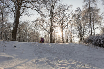 Mother supporting her little daughter while sledding together on snowy slope in winter forest