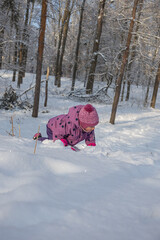 Cute little girl in purple winter overalls crawling and playing in deep white snow in sunny forest