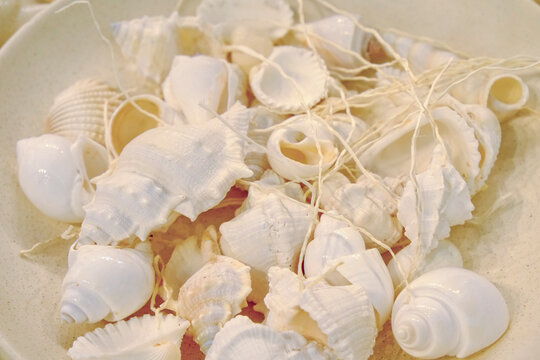Paris, France, EU Bowl of white sea shells