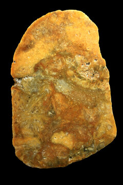 Pseudomorph Quartz from Oppelhain in Lower Lusatia, Germany
