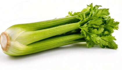 Fresh Green Celery Sticks on White Background.