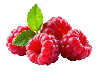 Fresh raspberries with leaves on a white background, ideal for food or health-related concepts