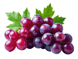 Obraz premium Fresh grapes surrounded by lush green leaves on a clean white surface, perfect for food or nature photography