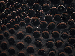 Aerial top down view shows La Geria semicircular stone vine pits in Lanzarote. Warm light casts long crescents on black ash as growers harness lapilli and wind shielding.