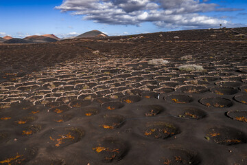 Wide view of La Geria vineyards in Lanzarote, Spain, with circular pits and stone walls, Timanfaya volcanic cones in distance, rust orange vines, crisp daylight lighting.