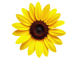 Fototapeta premium A simple yet striking image of a yellow flower with a black center on a white background