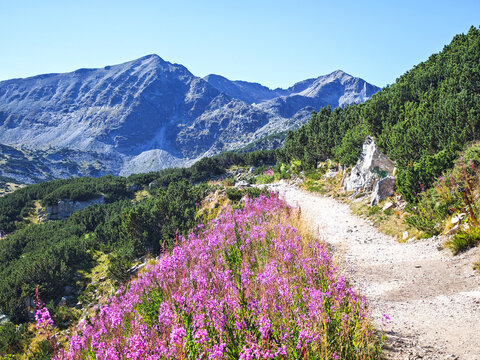 Rila mountain around Musala peak, Bulgaria