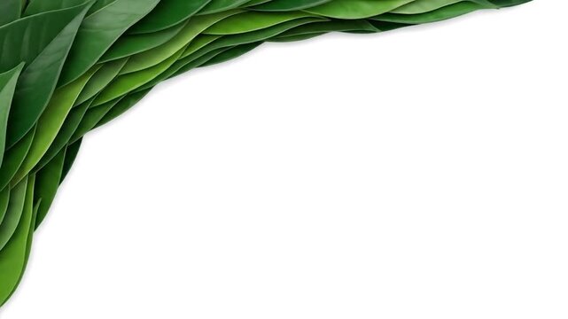 Fresh Green Leaves Corner Frame on White Background for Nature Designs.