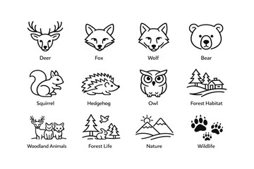 Obraz premium Woodland animals and forest life line art illustrations