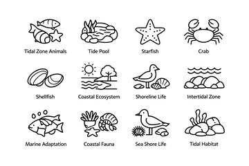 Obraz premium Coastal marine icons: starfish, crab, shellfish, fish, tidal zone, tide pool, shoreline life