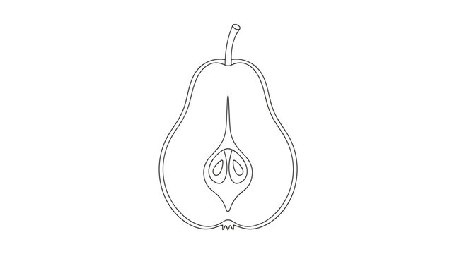 Longitudinal cross section of a pear showing the core and seeds in a clean and minimal black and white line art vector style.