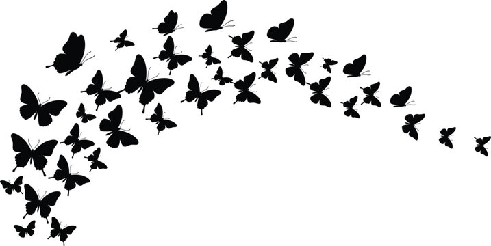 Black butterfly silhouettes flying in a swarm vector illustration for spring and nature-themed designs.