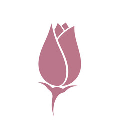 Elegant Pink Rosebud Vector Graphic Illustration. © Lailatul