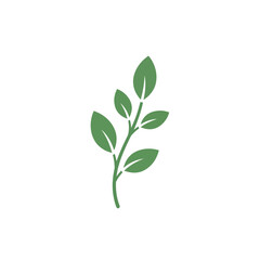 Obraz premium Green plant sprout with leaves on white background.