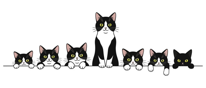 A delightful row of black and white tuxedo cats and all black kittens peeking over a horizontal line displaying various curious expressions black cat cute animal feline pets humorous