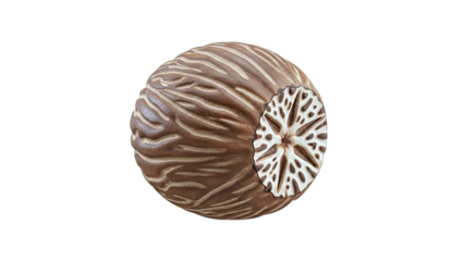 Whole Nutmeg Spice Seed
