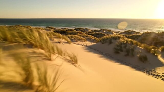 Scenic aerial view of golden sand dunes with beach grass and ocean horizon during sunset in Denmark