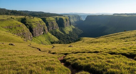 Obraz premium A verdant canyon vista under a clear blue sky, grassy slopes lead to a deep gorge
