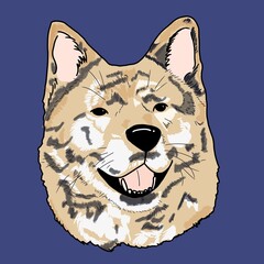 한국개 진돗개 호구 