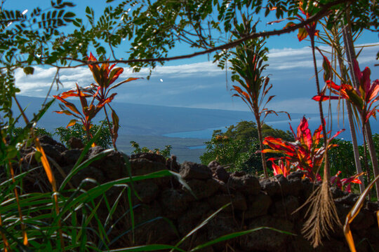 Tropical Scenery in Hawaii