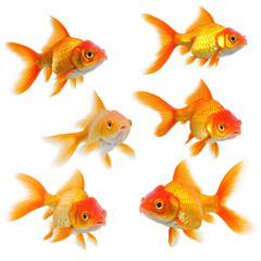 Naklejka premium Vibrant goldfish set, isolated on transparent background