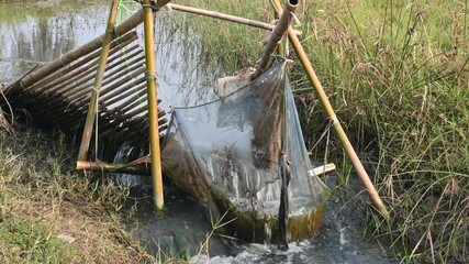 A traditional bamboo and mesh fishing trap is set in a narrow, flowing stream. The structure uses slanted bamboo poles to funnel water and fish into a fine blue net. Sustainable fishing method.