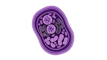 3D Render of a Stylized Cell Structure