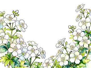 White Mock Strawberry Flowers Botanical Frame &ndash; Minimal 4K Horizontal Wallpaper