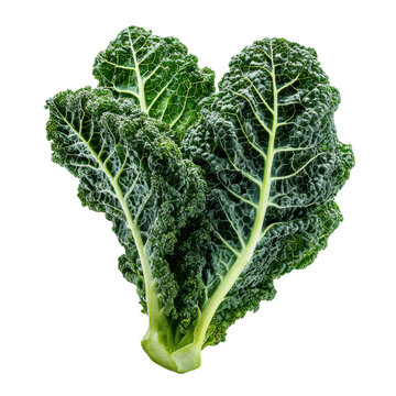 Textured green kale leaves with prominent veins against a dark background vegetable healthy