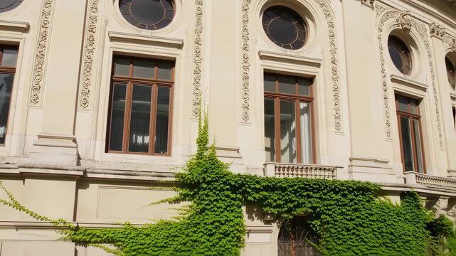Ornate Facade of Viennese Building with Ivy, Window Frames and Architectural Detail