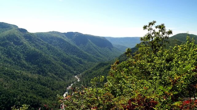 Framed Valley View With Foreground Tree, Eco Guide Perspective Showing Winding River Below, Layered Mountains, Lush Green Foliage And Clear Sky, Inviting Exploration And Interpretive Nature