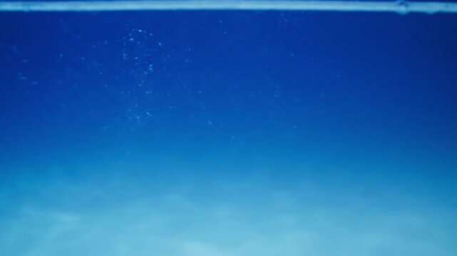 Underwater scene with clear blue water and sandy ocean floor